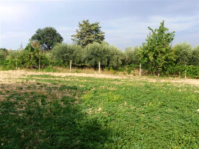 Terreno Agricolo zona Castelnuovo Vomano a Teramo in Vendita