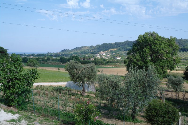Casa in campagna di Massignano Cupra Marittima a Ascoli Piceno in Vendita