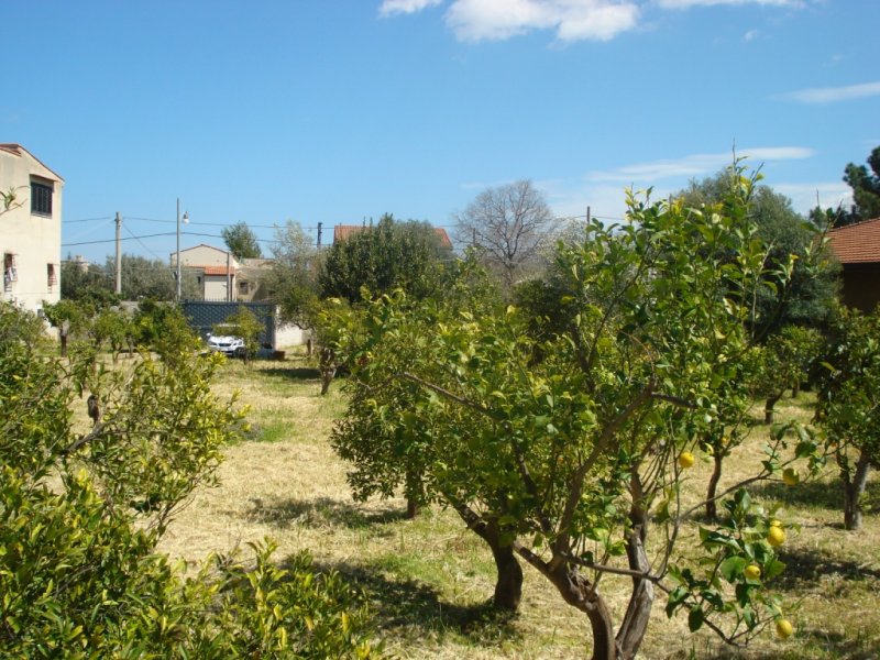 Terreno agricolo prospiciente in Via Villa Maio a Palermo in Vendita