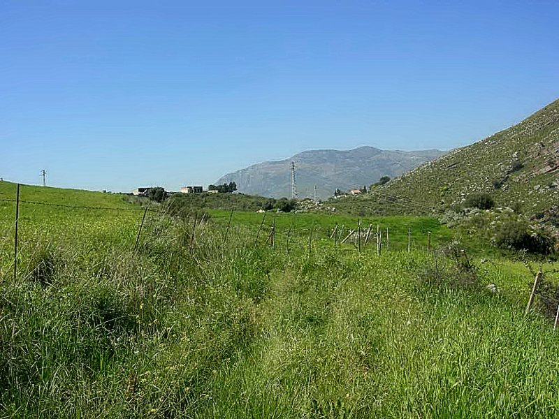 Terreno agricolo a Termini Imerese a Palermo in Vendita