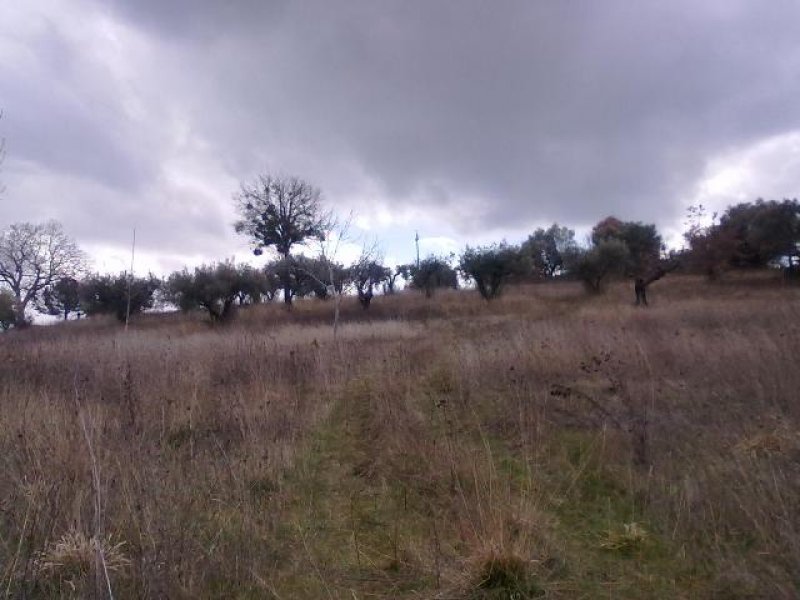 Terreno agricolo in zona Mascione a Campobasso in Vendita