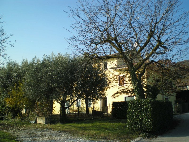 Rustico in soleggiata zona a Cavaso del Tomba a Treviso in Vendita