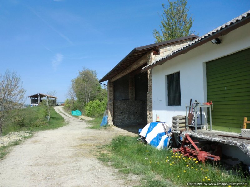 Azienda agricola sulle colline a Zavattarello a Pavia in Vendita