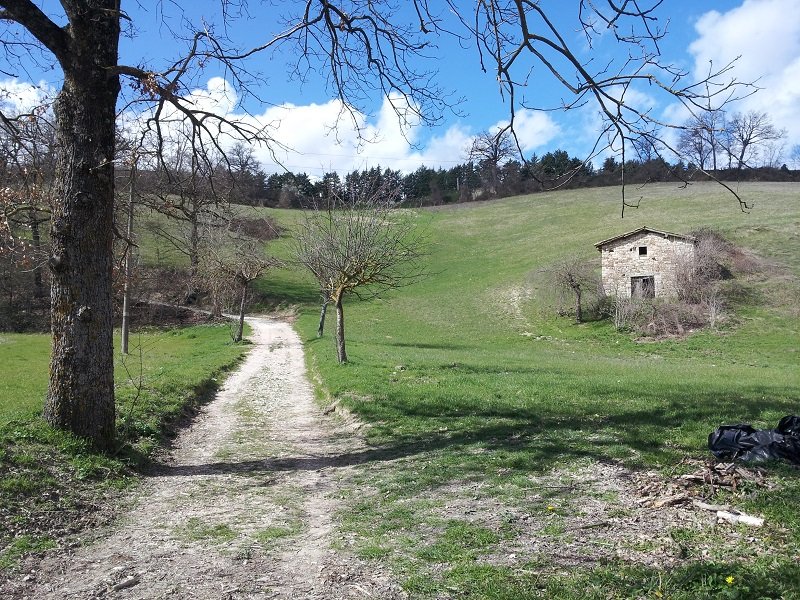 Complesso rurale a Fiordimonte a Macerata in Vendita