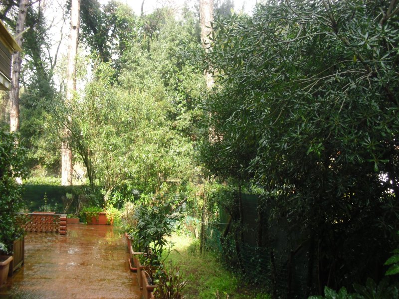 Bilocale parco San Rossore a Lucca in Affitto