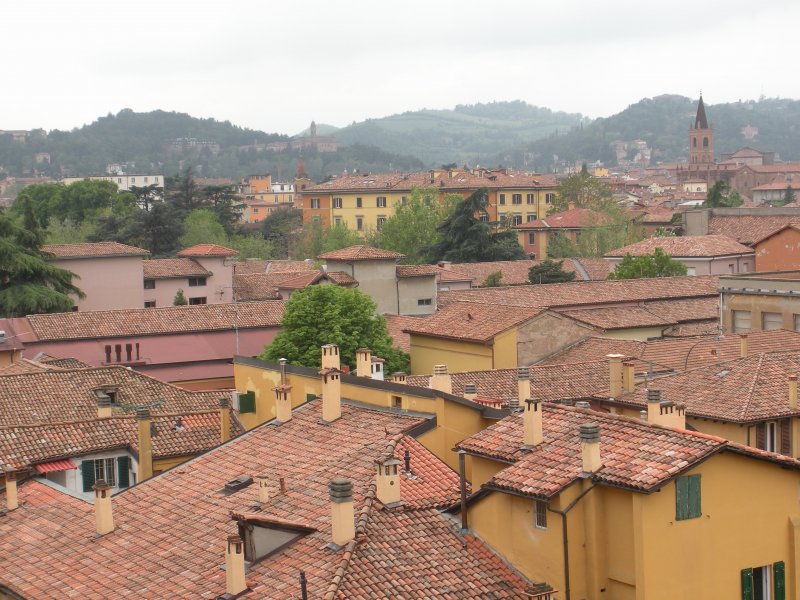 Bellissima singola con balcone e parquet a Bologna in Affitto