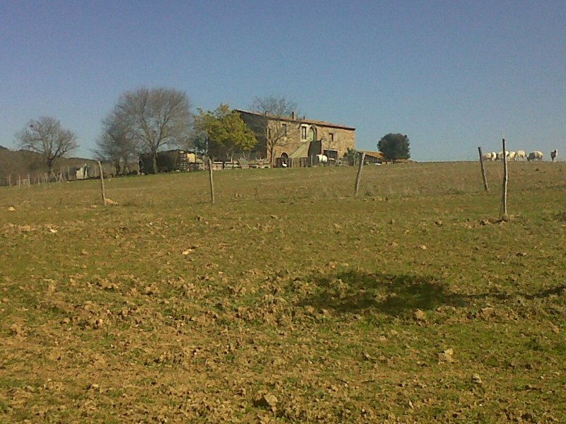 Terreno a gavorrano localit Castel di Pietra a Grosseto in Vendita
