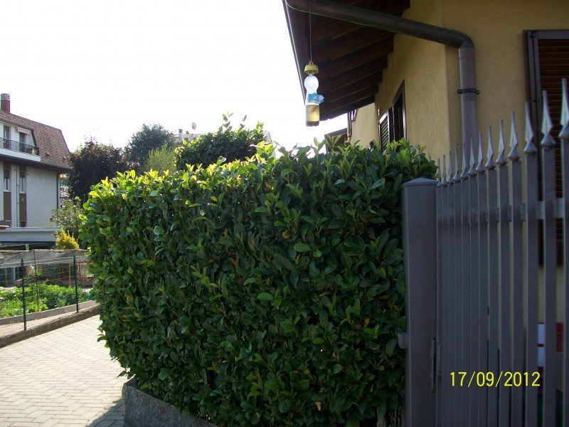 Porzione di villa bifamiliare con giardino a Varese in Vendita
