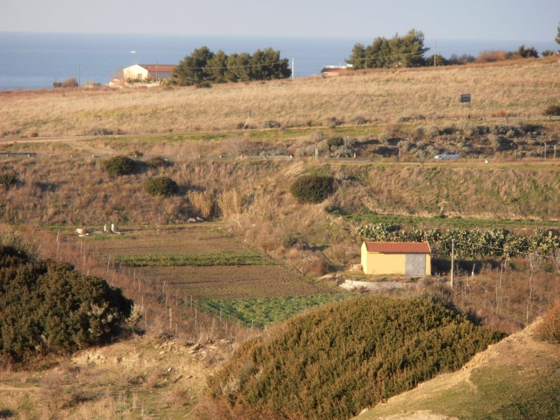 Terreno con capannone a Valledoria a Sassari in Affitto