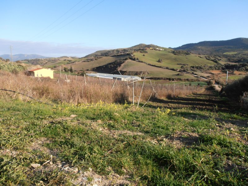 Terreno con capannone a Valledoria a Sassari in Affitto