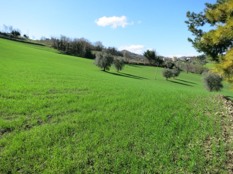 Rudere con terreno a Villagrande di Mombaroccio a Pesaro e Urbino in Vendita