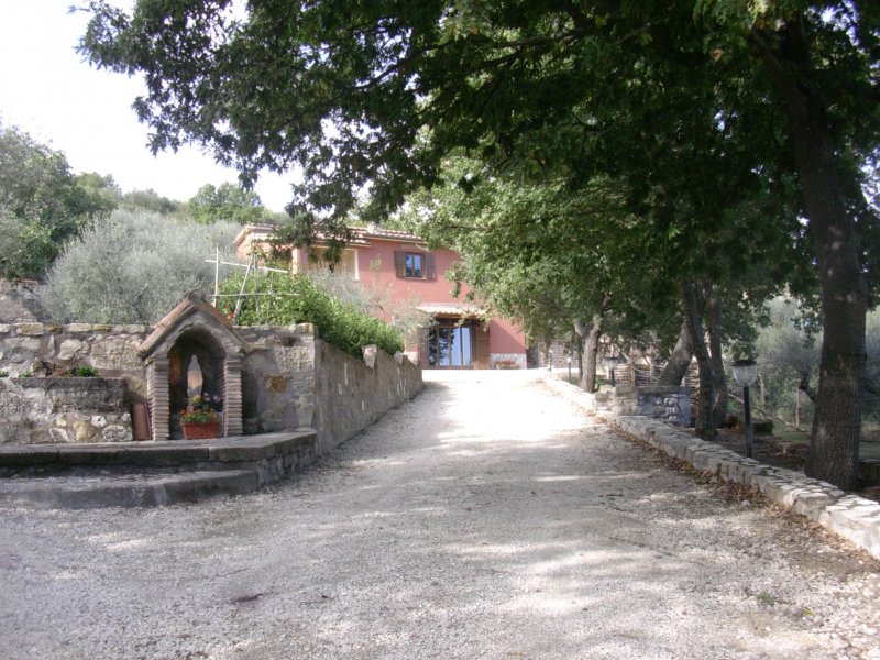 Rustico a Villa San Giovanni in Tuscia a Viterbo in Vendita