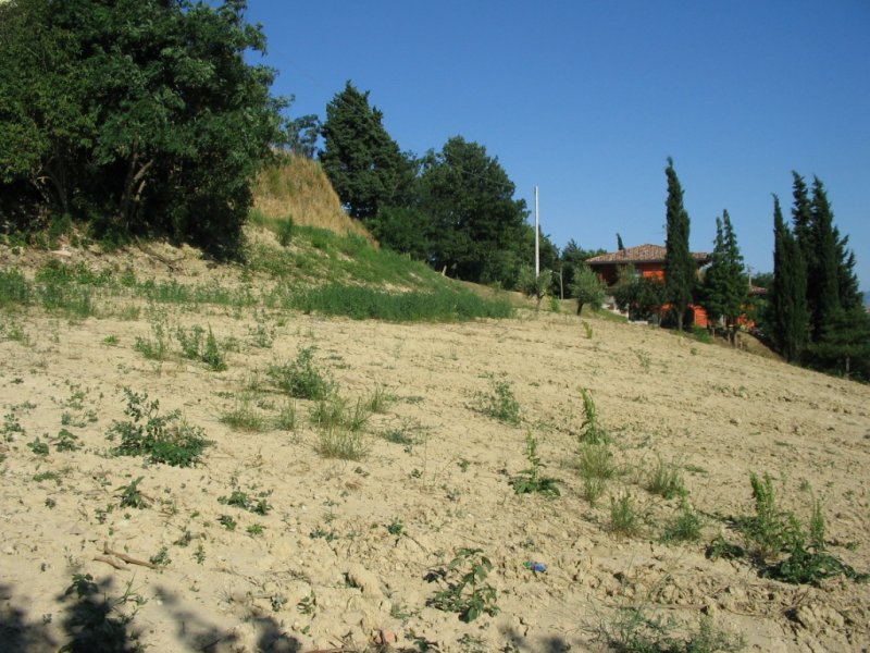 Terreno edificabile a Gemmano a Rimini in Vendita