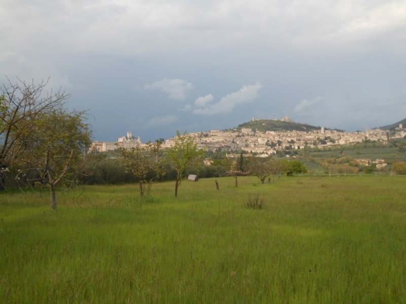 Terreno tra Assisi e Santa Maria degli Angeli a Perugia in Vendita
