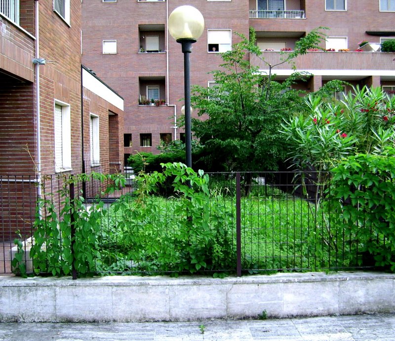 Appartamento zona Naviglio Grande a Milano in Affitto