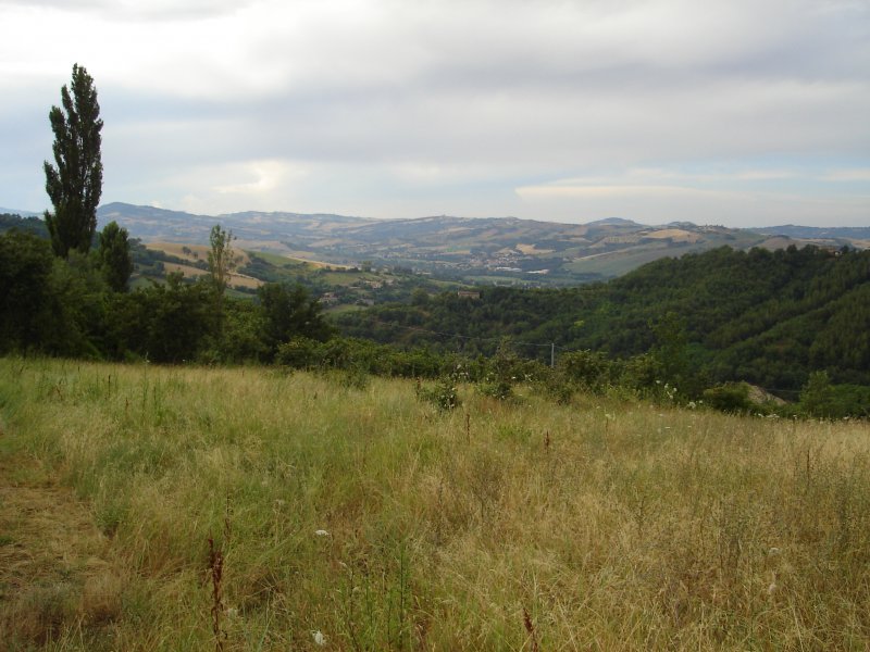 Terreno edificabile in comune di Urbino a Pesaro e Urbino in Vendita