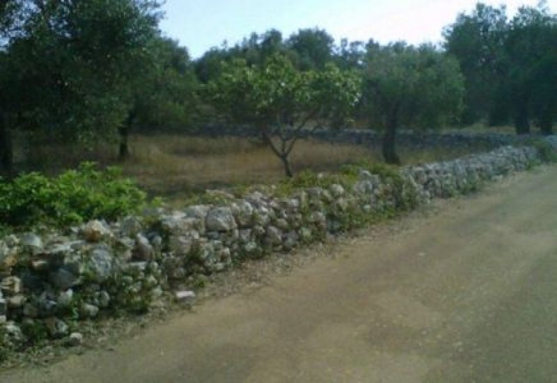 Terreno con costruzioni rurali a Casarano a Lecce in Vendita