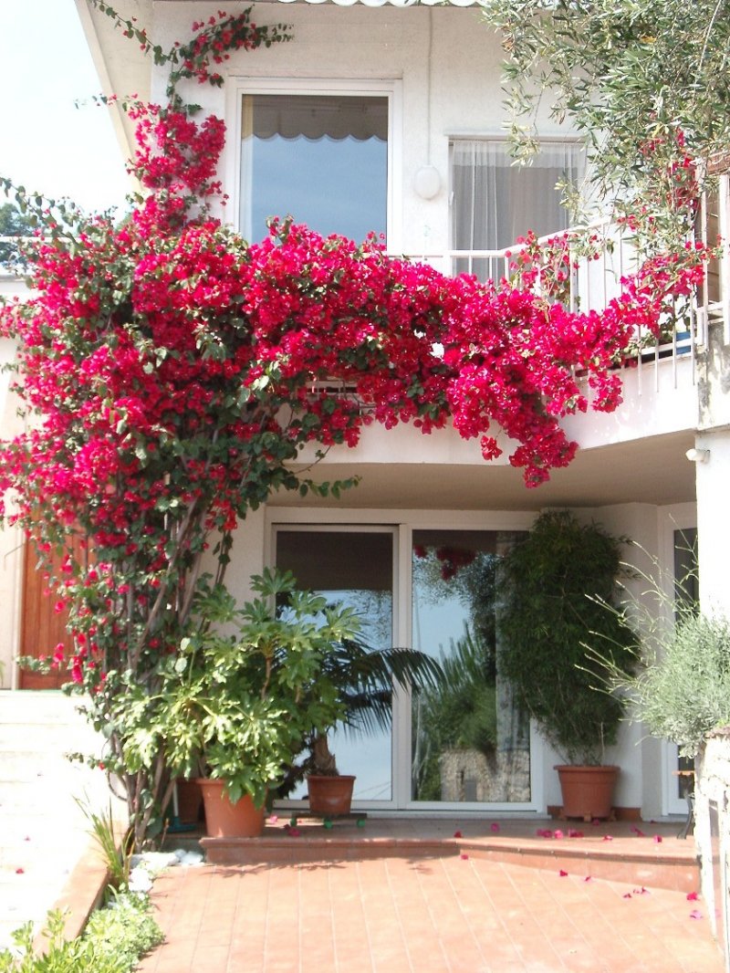 Casa con giardino a La Spezia in Vendita