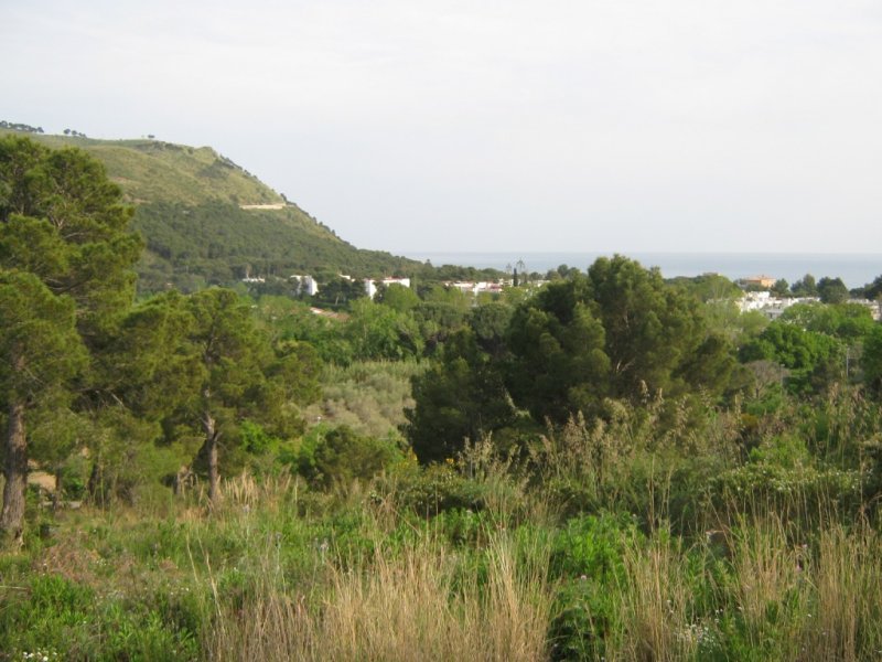 Terreno edificabile con rudere a Castellabate a Salerno in Vendita