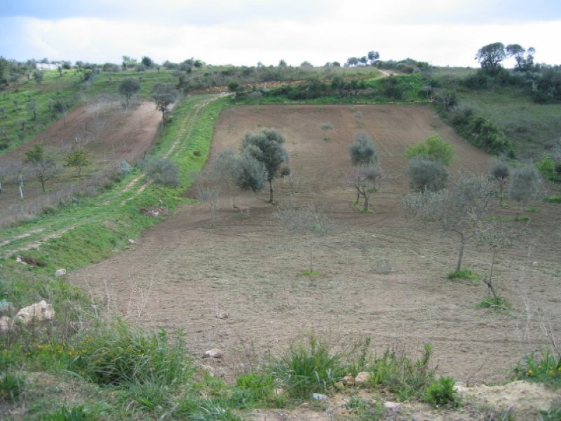 Terreno agricolo zona san Michele di Plaiano a Sassari in Vendita