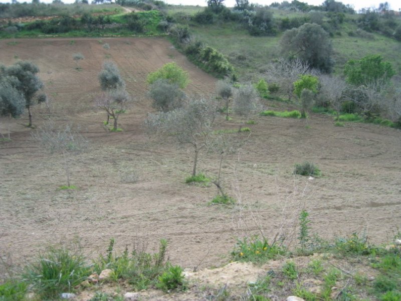 Terreno agricolo zona san Michele di Plaiano a Sassari in Vendita