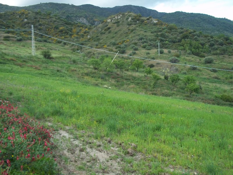 Terreno coltivabile a Roccella Ionica a Reggio di Calabria in Vendita