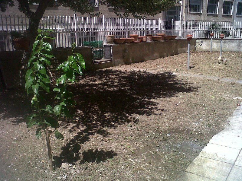 Loft con giardino a Salerno in Affitto