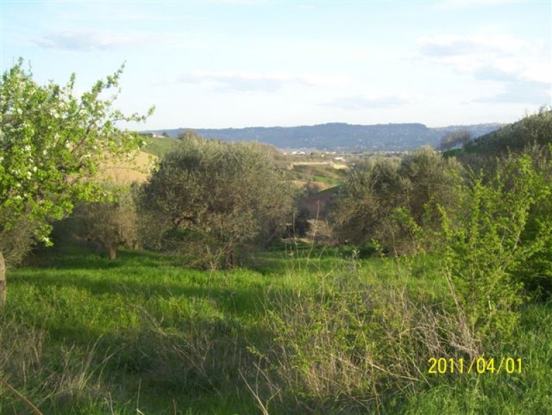 Terreno agricolo pianeggiante a Santa Lucia a Pescara in Vendita