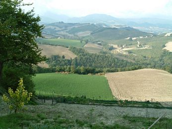 Rudere con terreno in campagna a Fermignano a Pesaro e Urbino in Vendita
