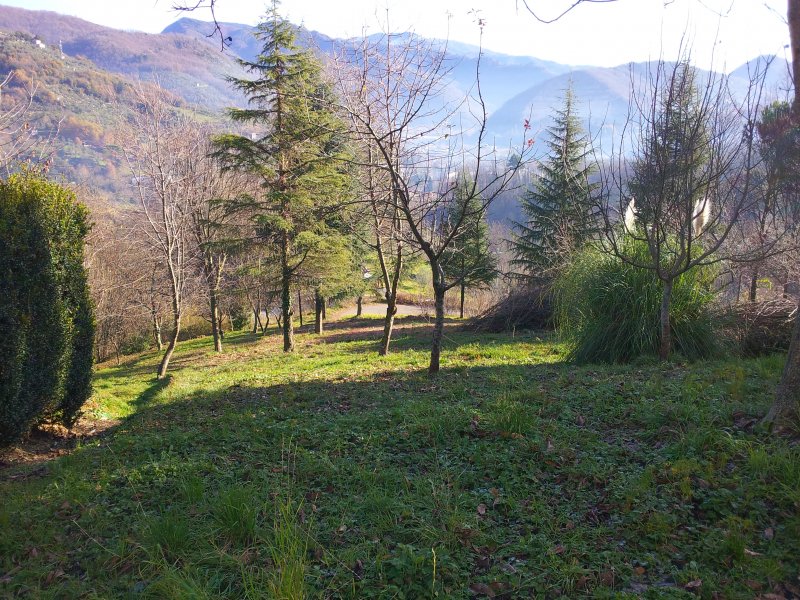 Terreno sulle colline di Borgo a Mozzano a Lucca in Vendita