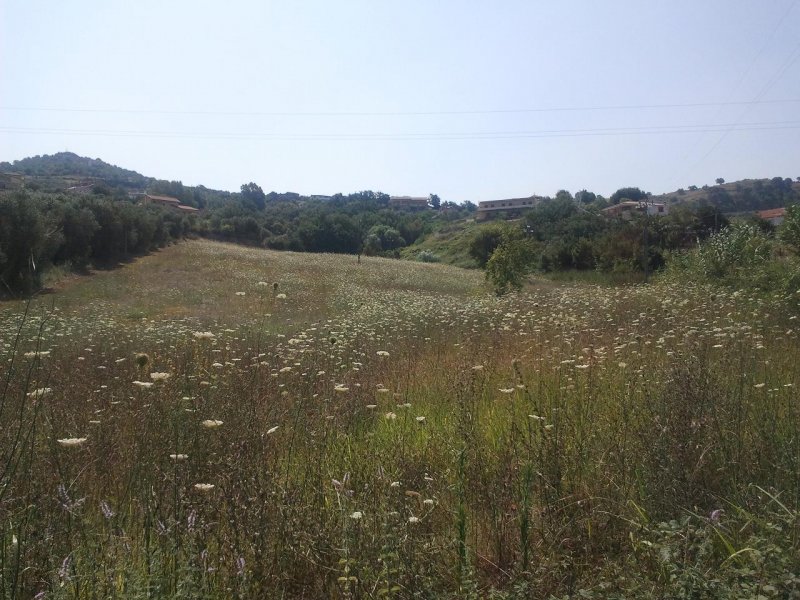 Terreno agricolo ad Agropoli a Salerno in Vendita
