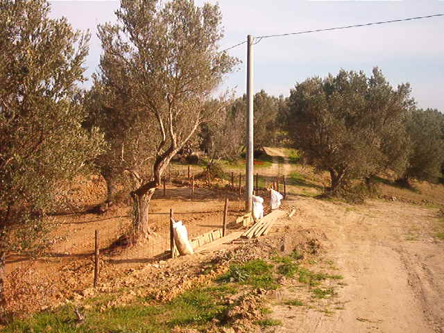 Terreno agricolo con fabbricato in Borgia  a Catanzaro in Vendita