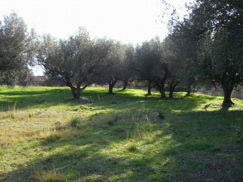 Terreno agricolo ad Auletta a Salerno in Vendita