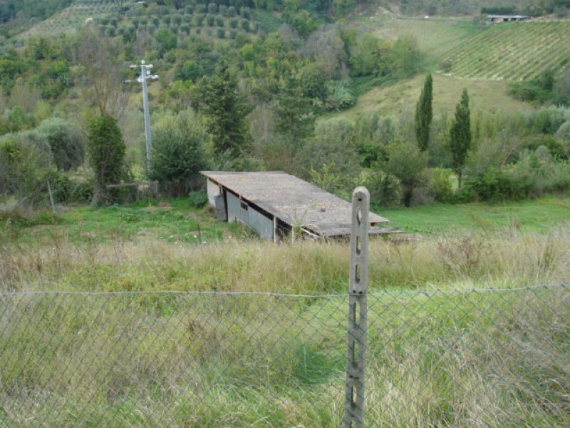 Terreno agricolo nelle alte colline di San Miniato a Pisa in Vendita