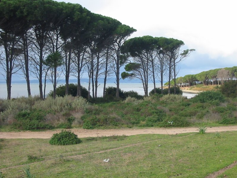 Terreno a Corongiuali di San Giovanni Suergiu a Carbonia-Iglesias in Vendita