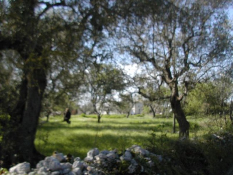 Terreno edificabile contrada Vasce a Galatone a Lecce in Vendita