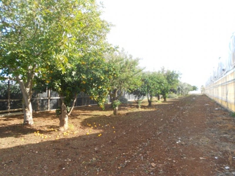 Terreno agricolo con annesso rustico a Ragusa in Vendita