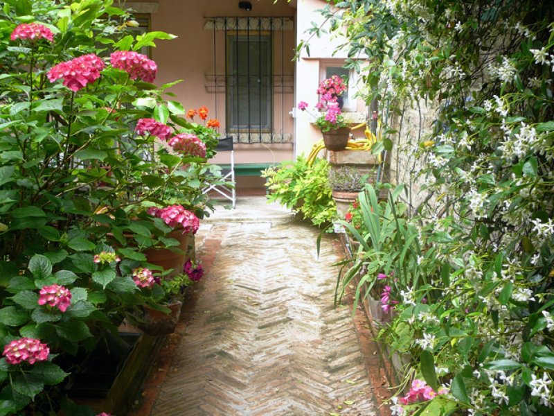 Garden House in centro storico a Perugia in Affitto