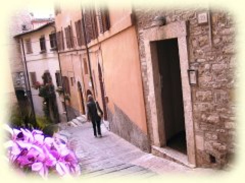 Garden House in centro storico a Perugia in Affitto