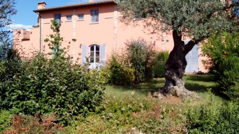 A Frassineto Residence Poggio Rosso a Arezzo in Affitto