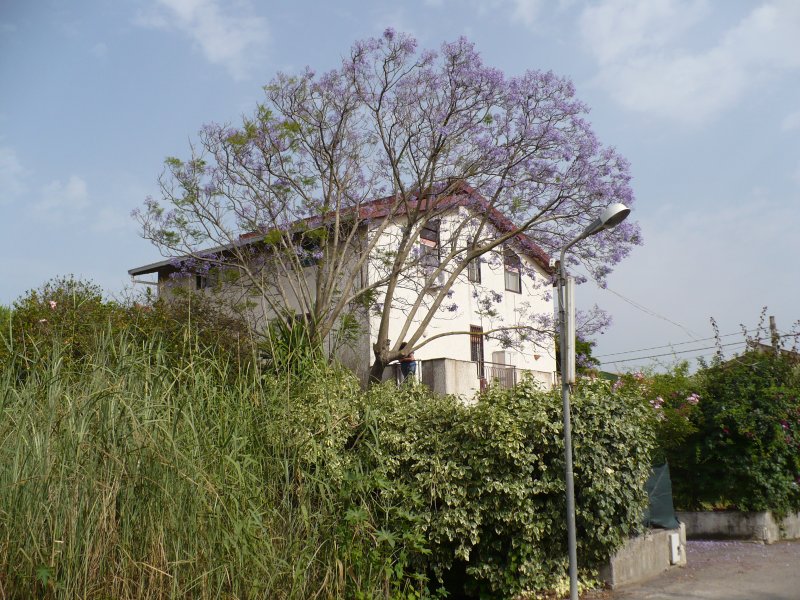 Villa trifamiliare nella preoasi del Simeto a Catania in Vendita