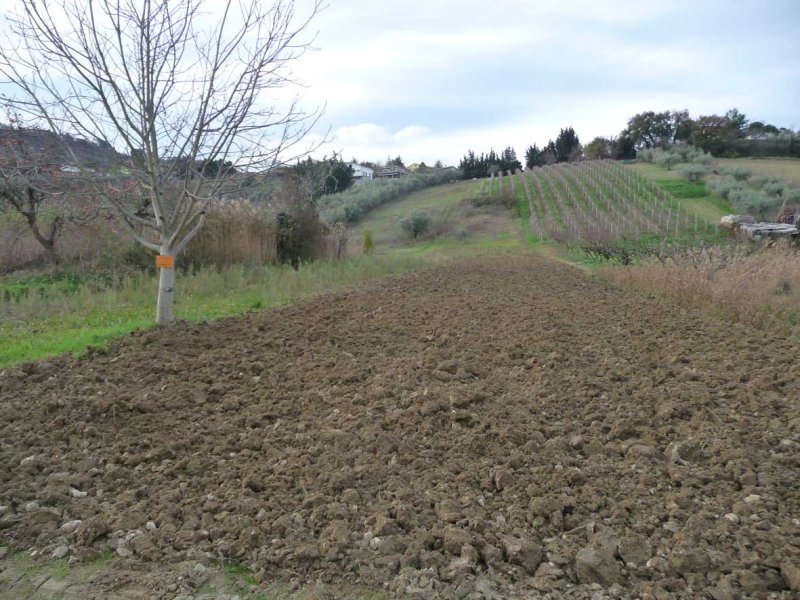 Terreno irrigabile a San Giovanni Teatino a Chieti in Vendita
