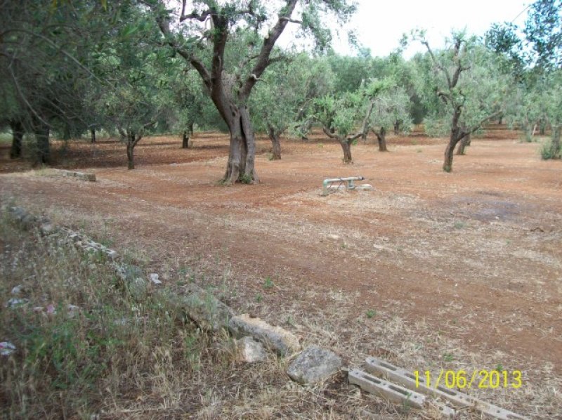 Terreno agricolo a Casarano a Lecce in Vendita