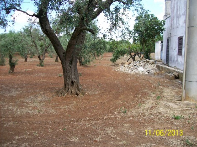 Terreno agricolo a Casarano a Lecce in Vendita
