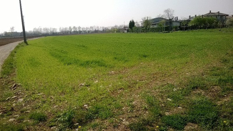 Terreno agricolo a Montebelluna a Treviso in Vendita