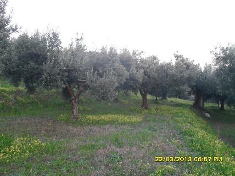 Terreno agricolo a Lamezia Terme a Catanzaro in Vendita