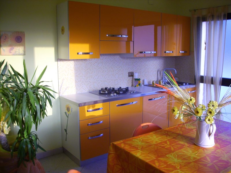 Appartamento per vacanze Montopoli in Val d'Arno a Pisa in Affitto