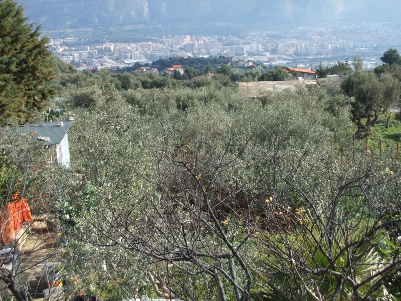 Terreno panoramico e pianeggiante zona Inserra a Palermo in Vendita