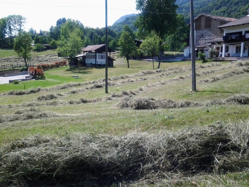 Localit Bernin azienda agricola a Udine in Vendita