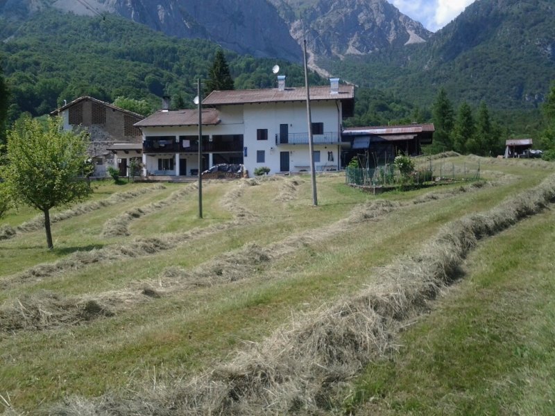 Localit Bernin azienda agricola a Udine in Vendita